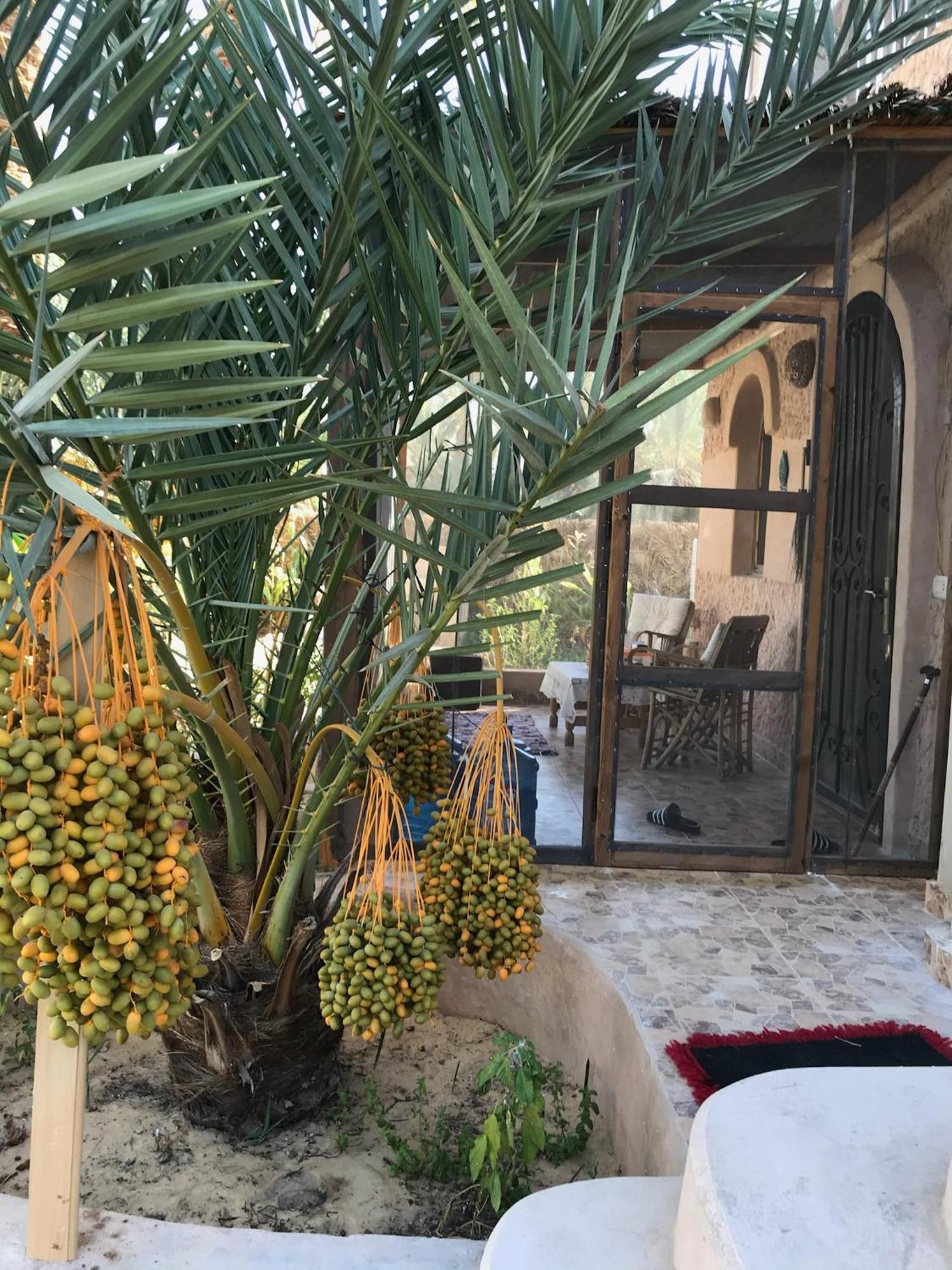 Siwa Spot Apartment Siwa Oasis Exterior photo