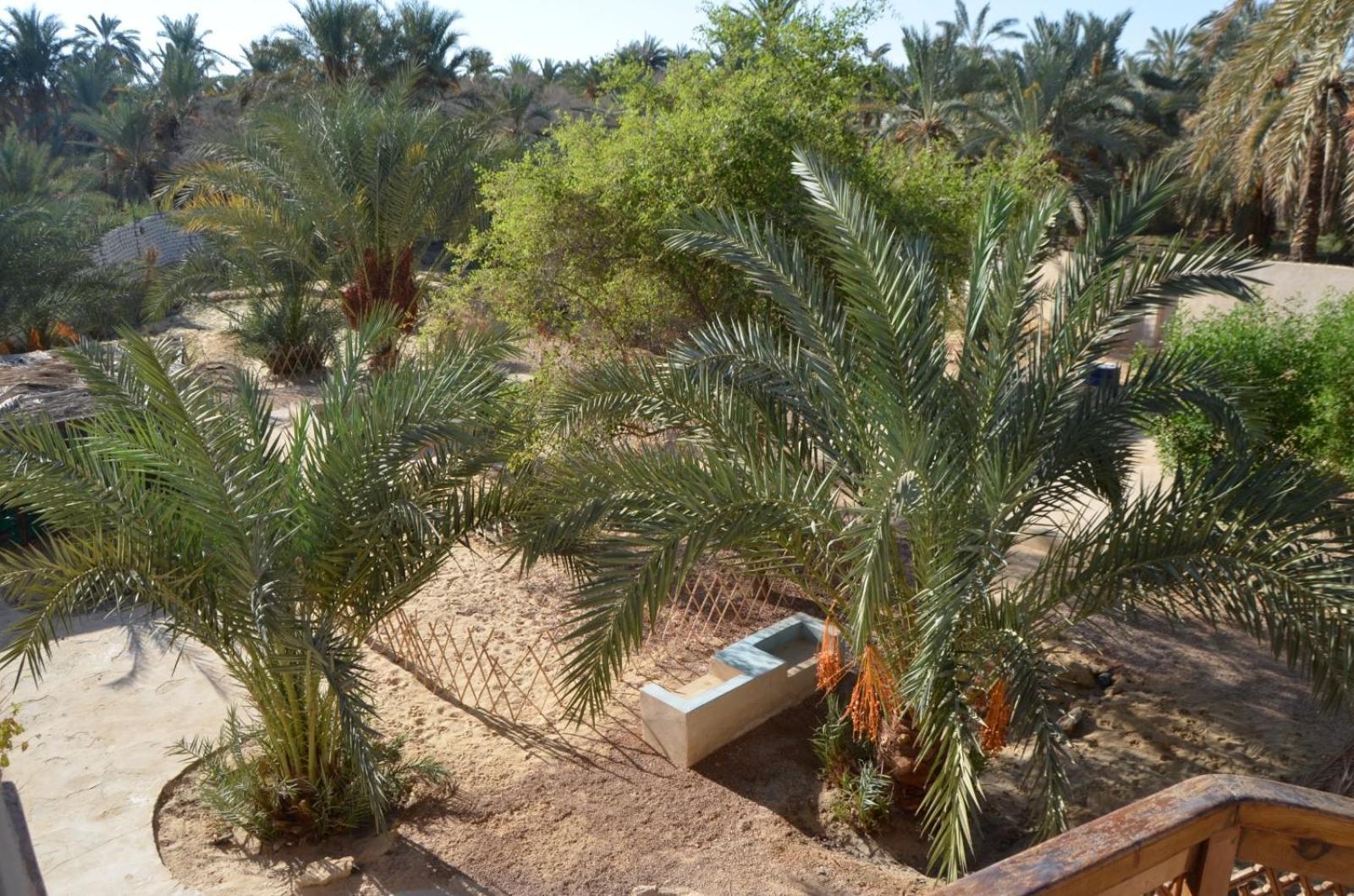 Siwa Spot Apartment Siwa Oasis Exterior photo