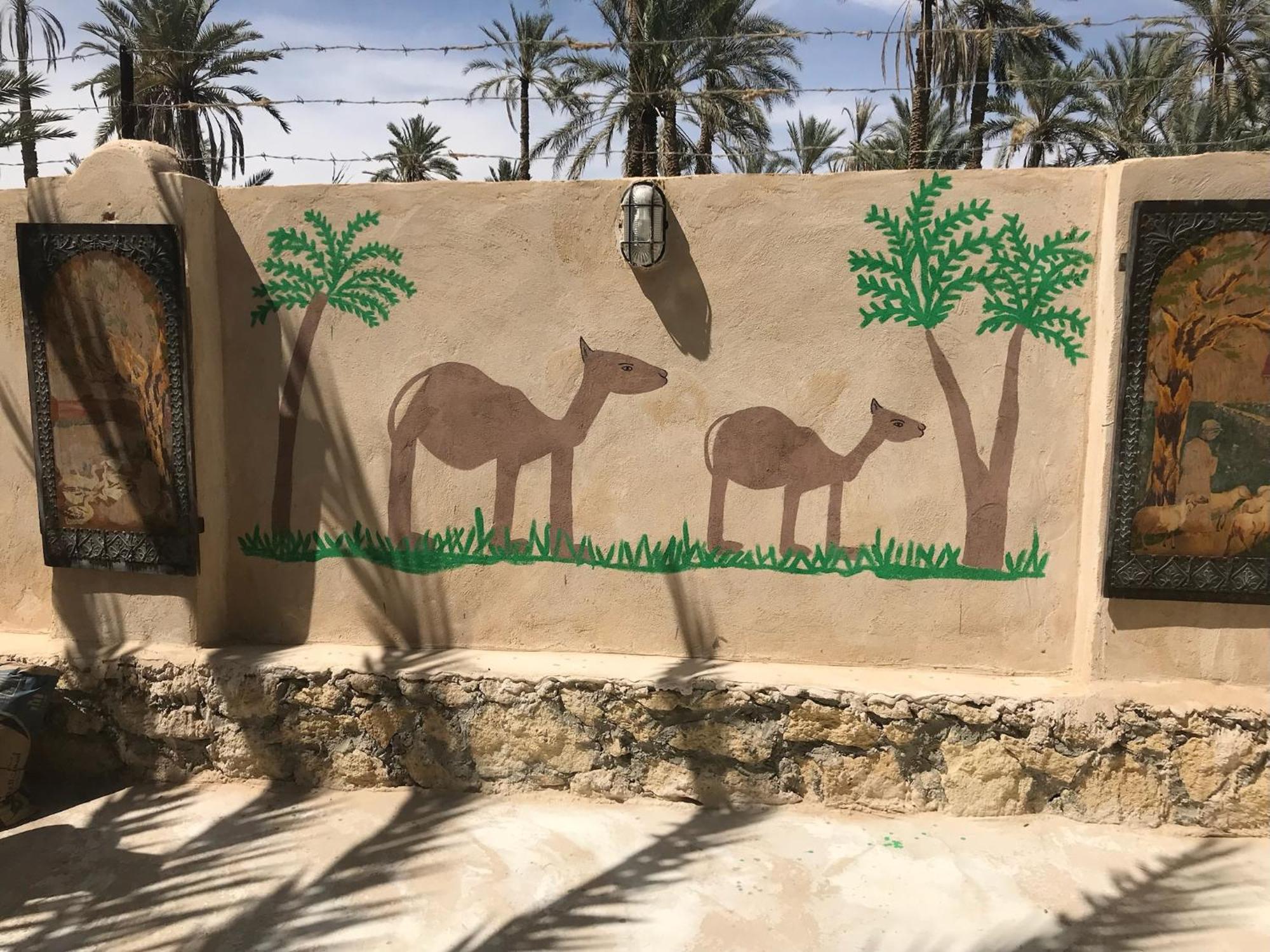 Siwa Spot Apartment Siwa Oasis Exterior photo